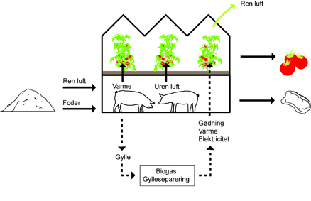 Pig City diagram