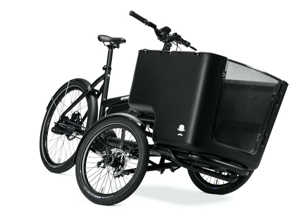 electric cycle with carrier